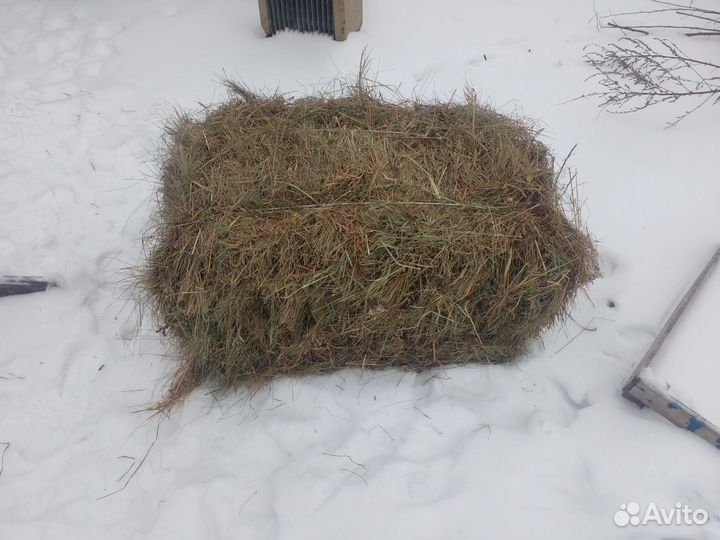 Сено в тюках