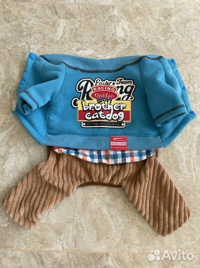 Костюм для кошки