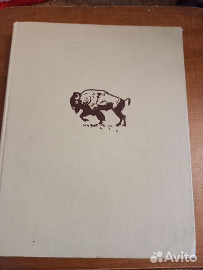 Зоология для учителя. А. Яхонтов 2 -й том