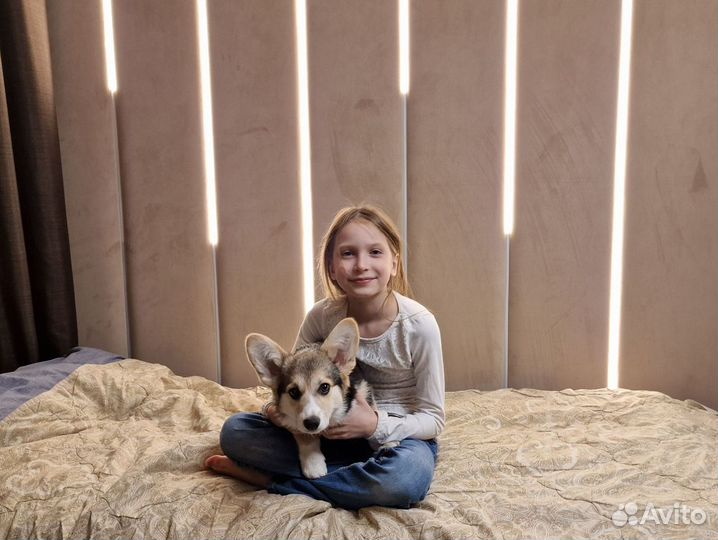 Мягкие стеновые панели, мягкие панели с подсветкой