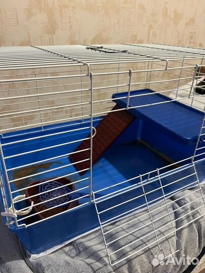 Клетка для грызунов очень большая