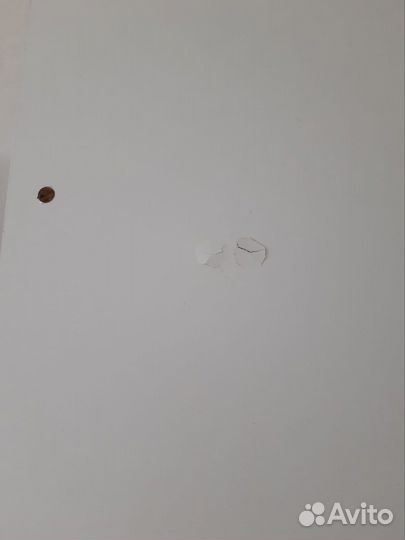 Дверь для шкафа лдсп с зеркалом 2шт