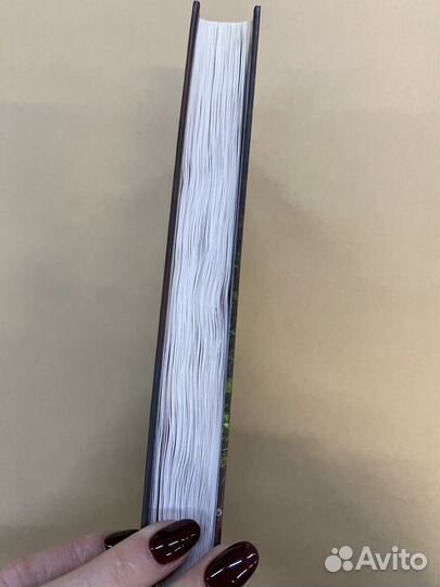 Второй шанс для попаданки Сью Санна