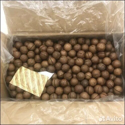 Макадамия орех в скорлупе свежий урожай опт