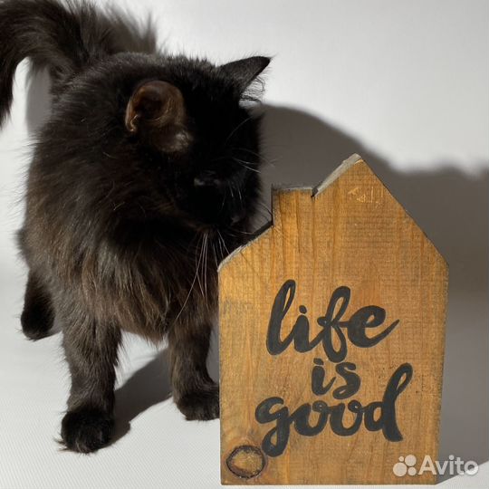 Табличка с надписью