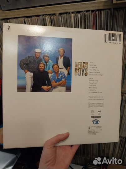 THE beach boys L.P.USA mint