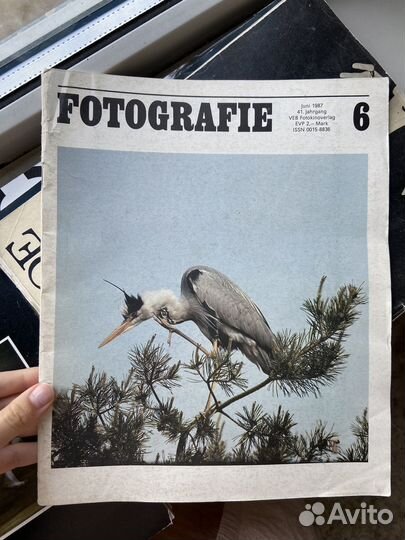 Журнал Сеанс и фотожурналы