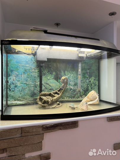 Аквариум