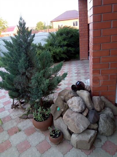 Дом 120 м² на участке 9 сот.