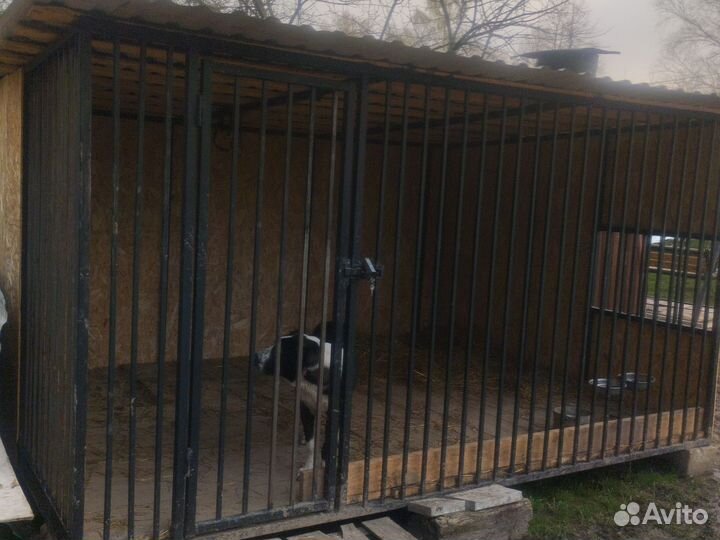 Вольер для собак уличный