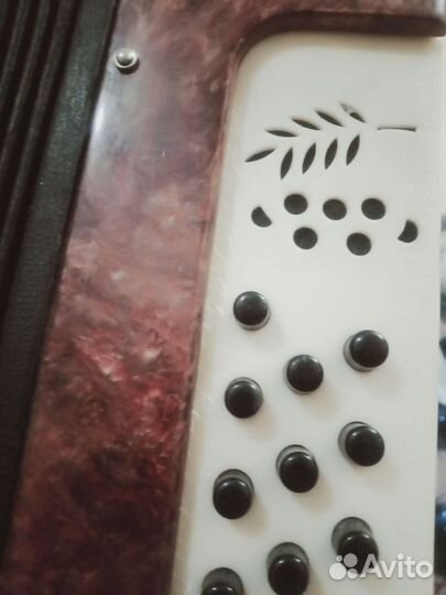 Гармонь тульская