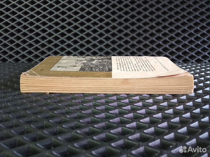 Кроми, Жизнь моря