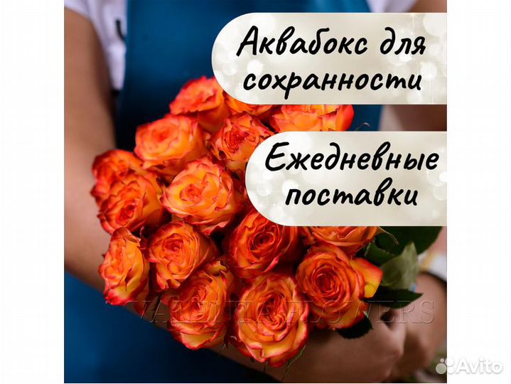 Букет 15 роз