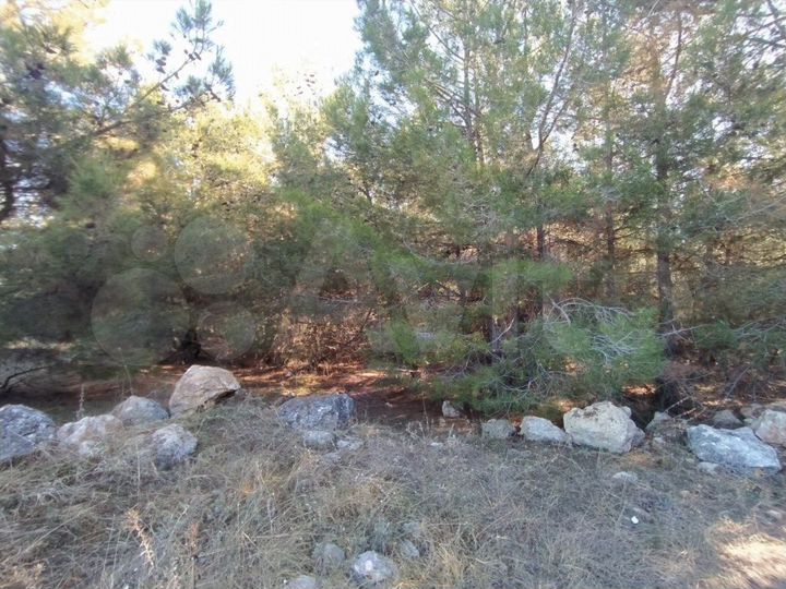 Участок 8,9 сот. (ИЖС)