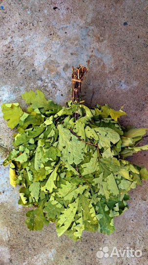 Веники для бани