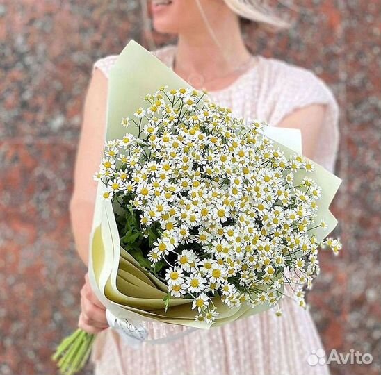 Цветы ромашки. Букеты ромашек. Цветы доставка