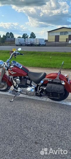 Harley davidson fat boy