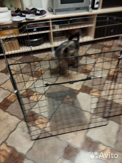 Вольер для собак