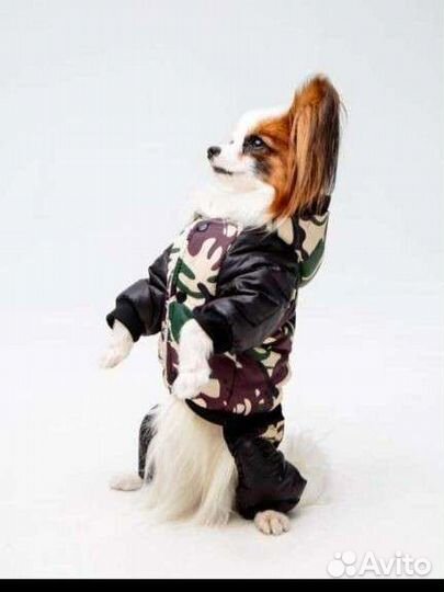 Комбинезон зимний для животных