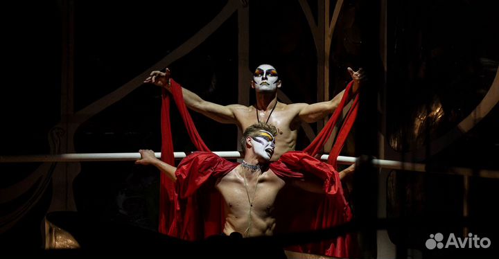 Билеты в театр Романа Виктюка 1/3