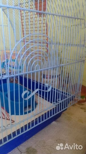 Клетка для грызунов бу