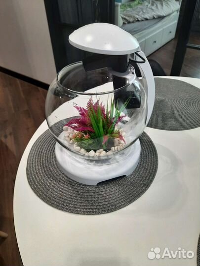 Аквариум для рыбок