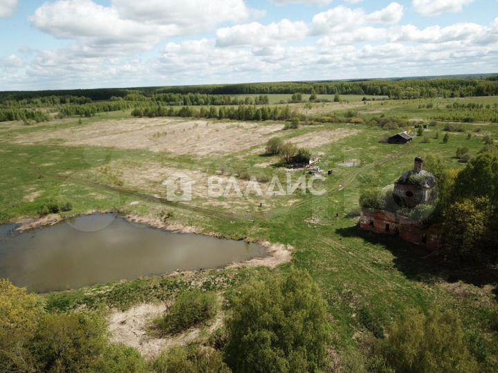 Участок 49 га (СНТ, ДНП)