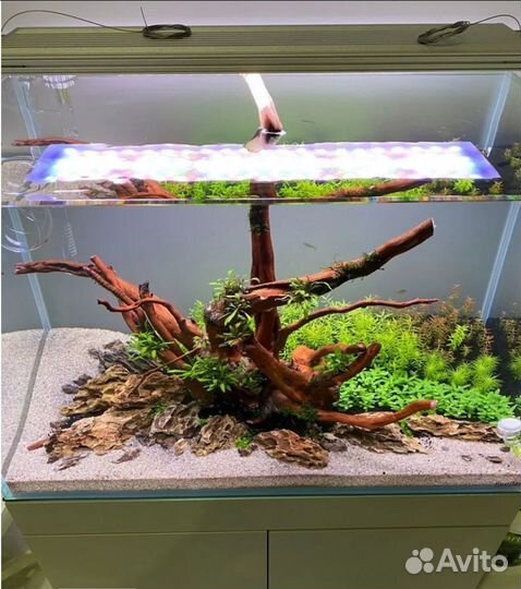 Аквариум optiwhite 150 литров с тумбой