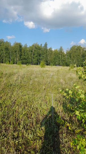 Участок 10 сот. (ИЖС)