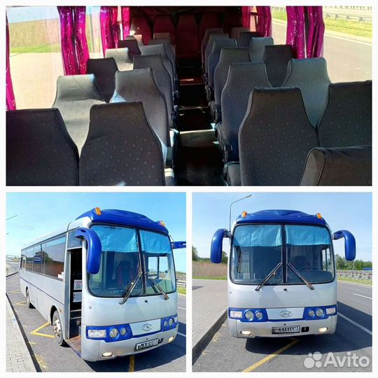 Заказ/аренда автобусов 8, 20-35мест