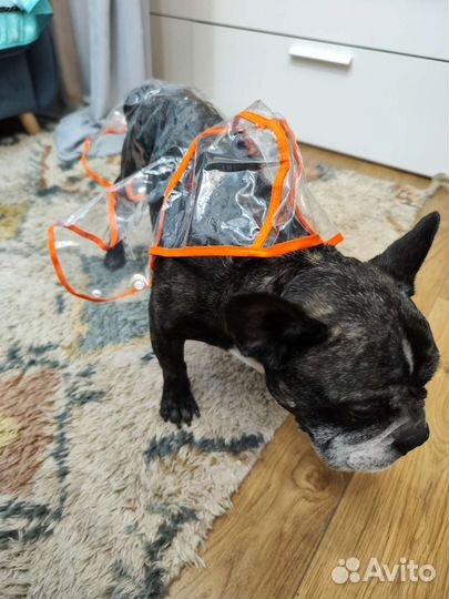 Дождевик для собак средних пород