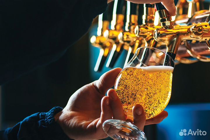 Бармен, помощник бармена, официант