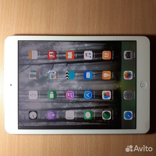 iPad mini 1