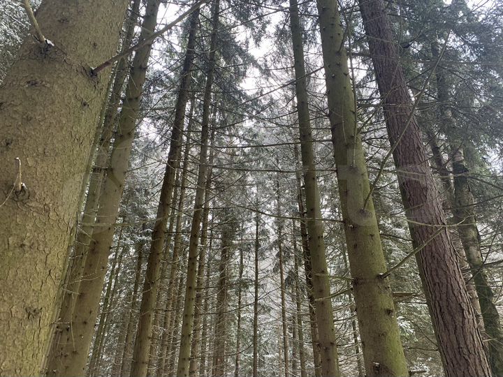 Участок 6,6 сот. (ИЖС)