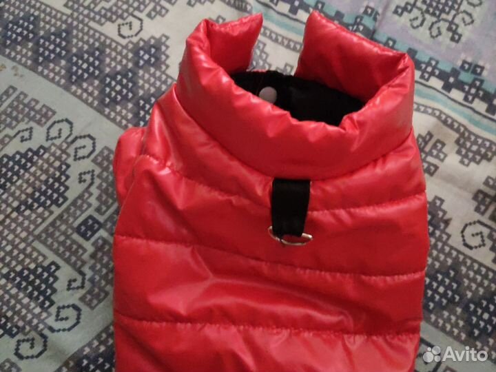 Одежда для маленьких пород собак