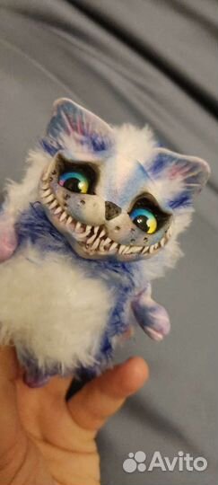 Чеширский кот