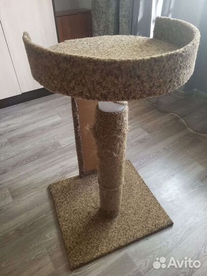 Когтеточка