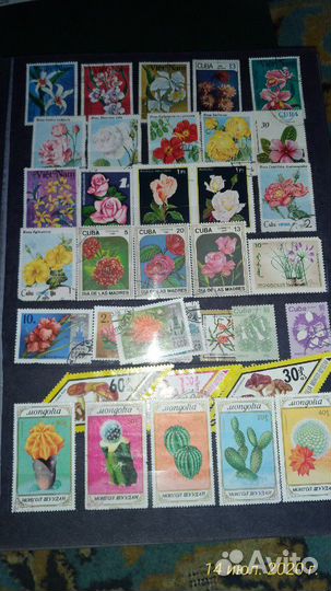 5 альбомов с марками