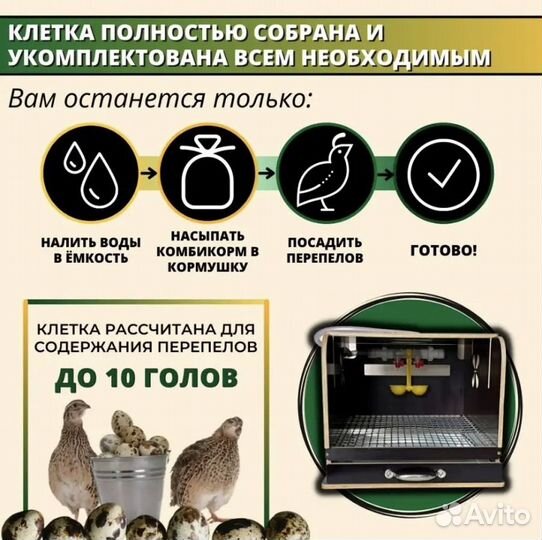Клетки для перепелов