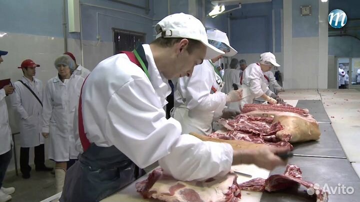 Обработчик мясных туш сменный график