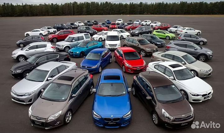 Выкуп автомобилей Химки расчет в день обращения