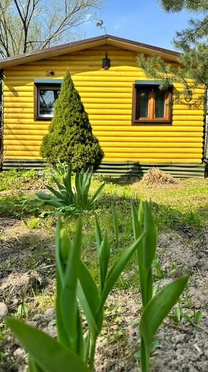 Дом 36 м² на участке 20 сот.