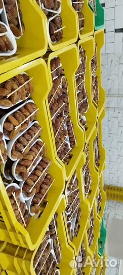 Финики оптом