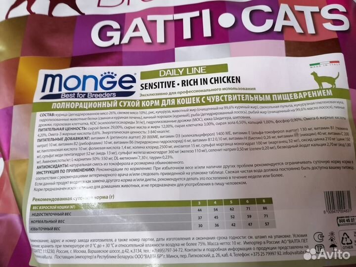 Monge sensitive/kitten