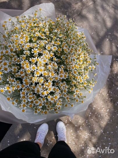 Ромашки цветы букеты