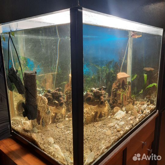Аквариум с оборудованием