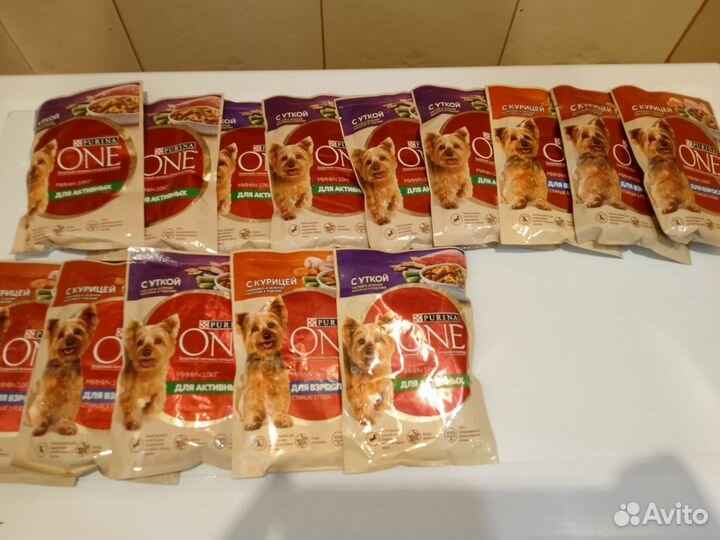 Влажный корм для собак, паучи