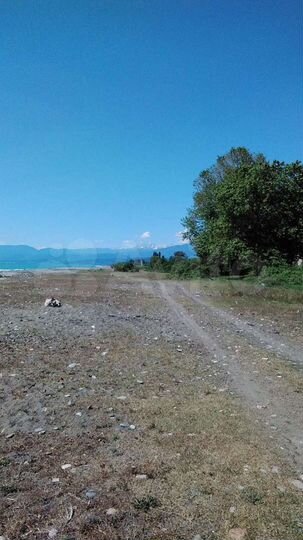 Участок 25 сот. (ИЖС)