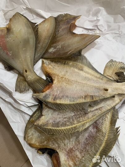Палтус,ёрш,окунь,семга,печень трески,гребешок