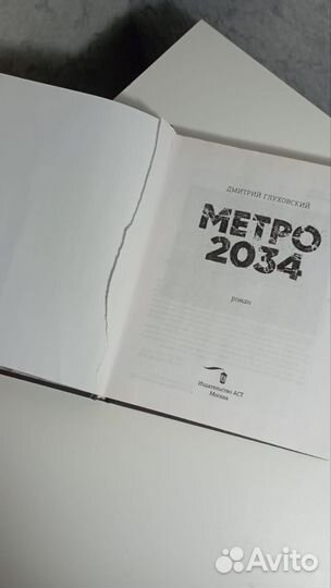 Книга метро 2034